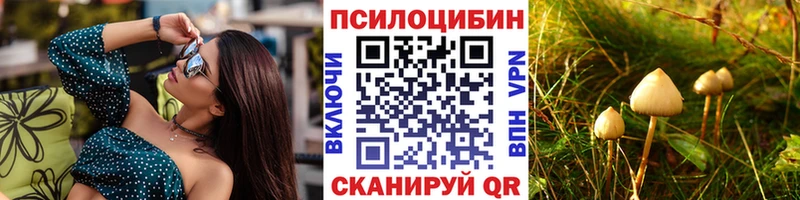 hydra вход  Орёл  Галлюциногенные грибы Magic Shrooms 